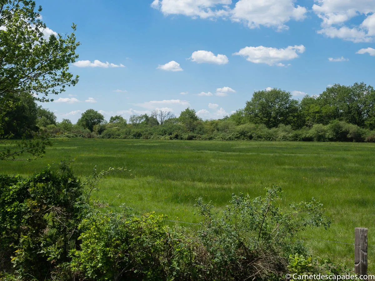 prairies-brenne