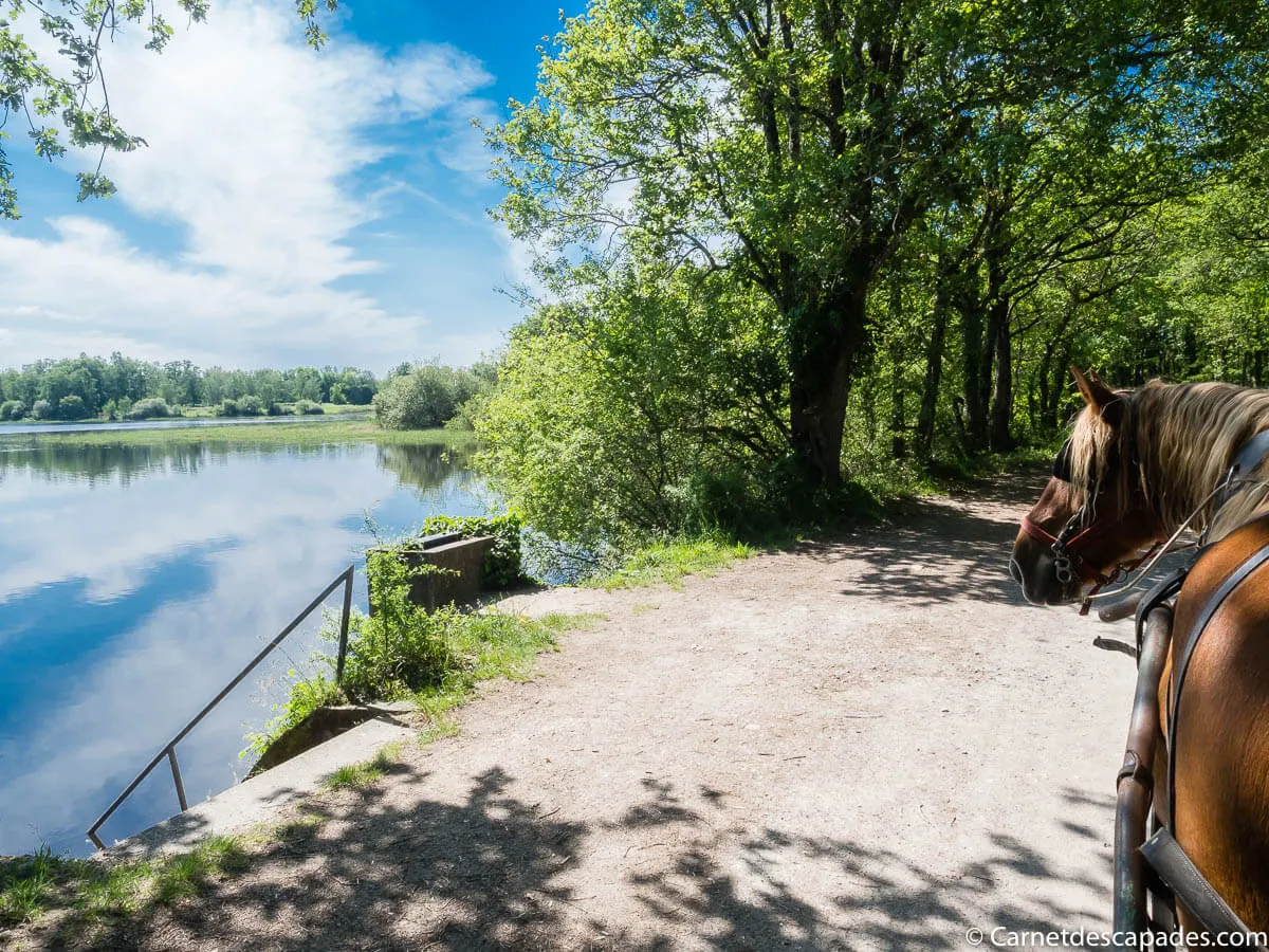 roulotte-etangs-parc-brenne