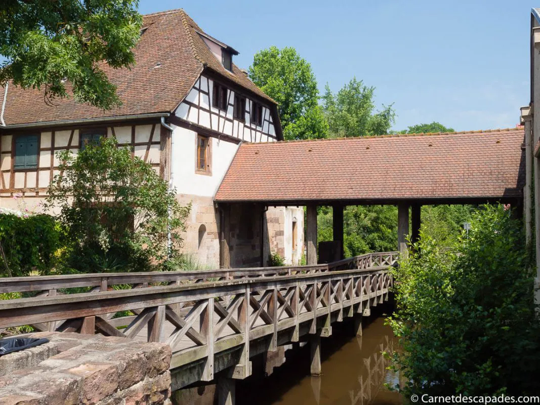 alsace-molsheim