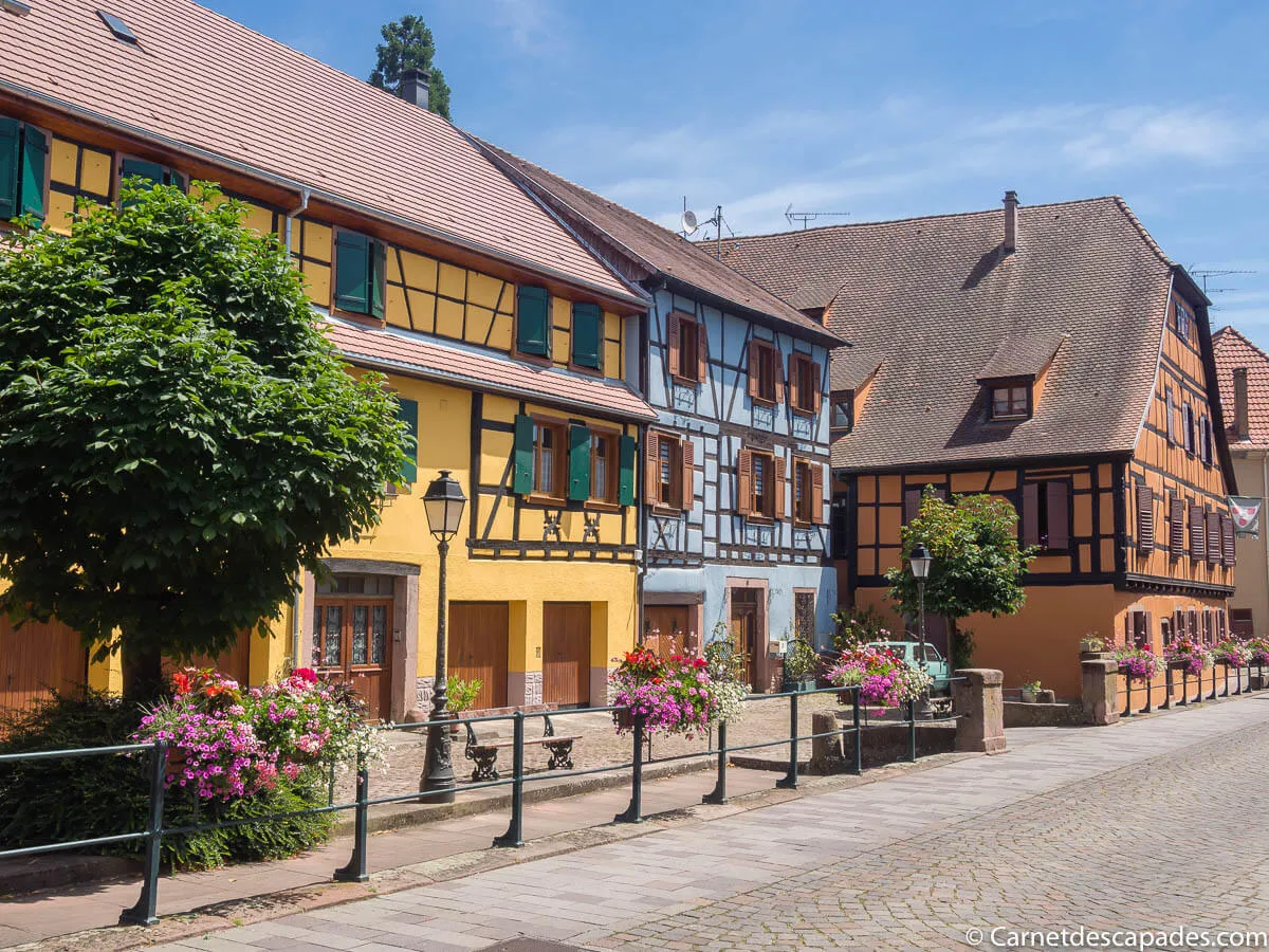 alsace-ribeauville-route-vins