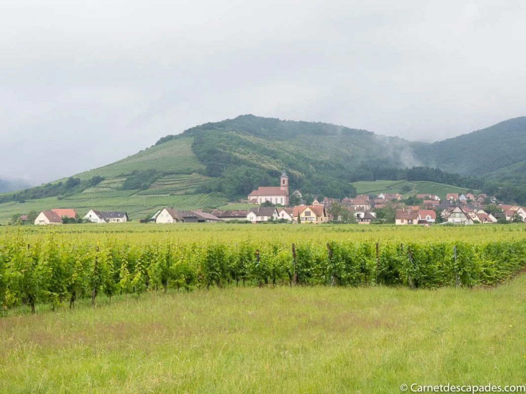 alsace-route-vins