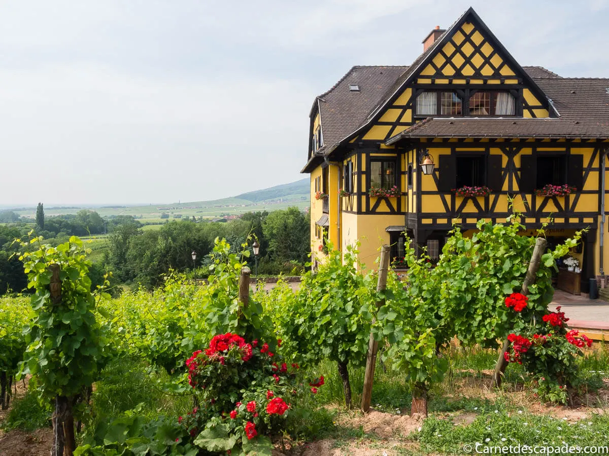 alsace-route-vins-itterswiller