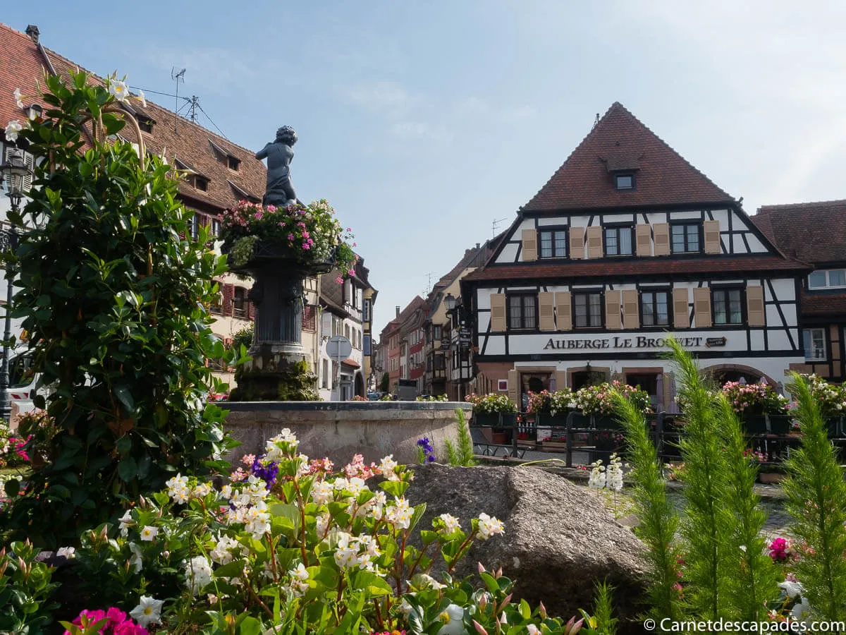 barr-route-vins-alsace