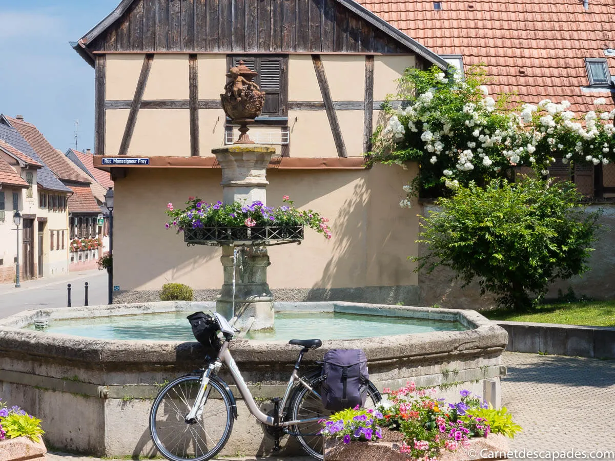 bischoffsheim