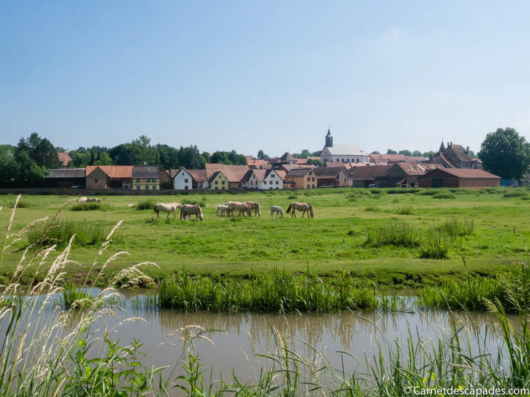 canal-bruche-alsace