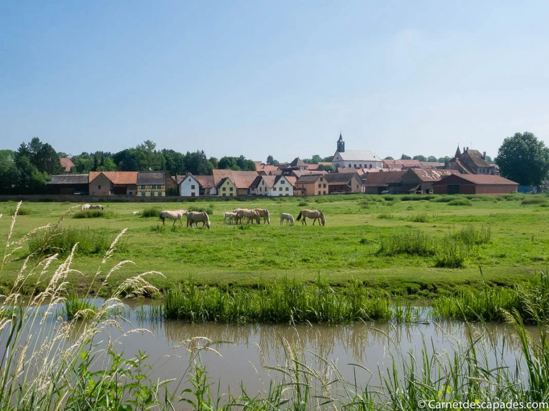 canal-bruche-alsace
