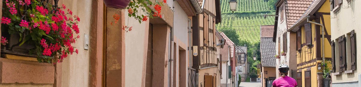 chatenois-velo-alsace