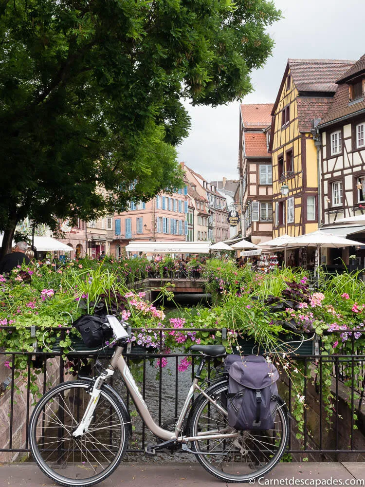 colmar-alsace-velo