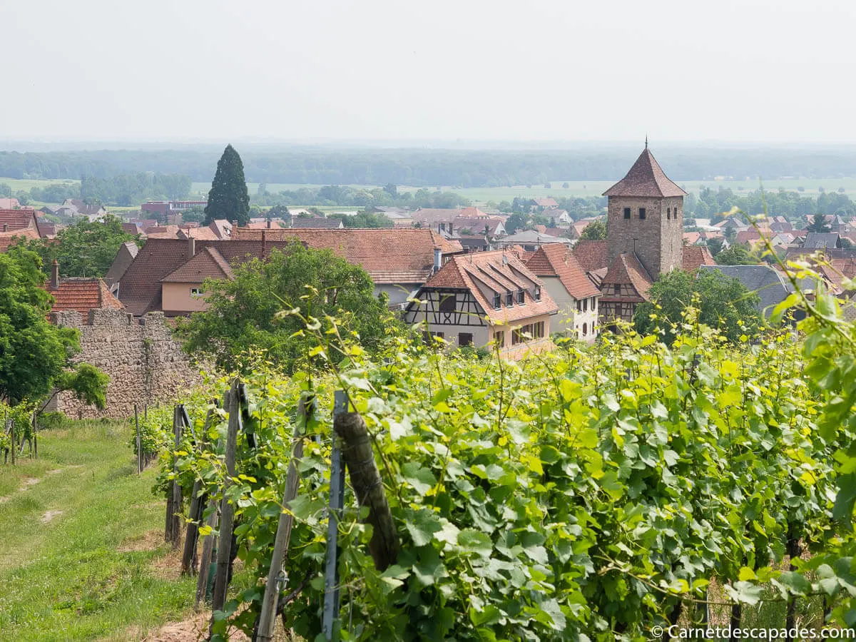 dambach-la-ville