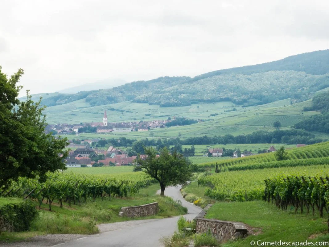 kientzheim-vue