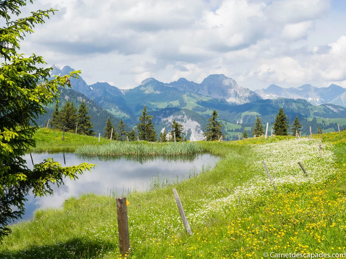 lac-montagne