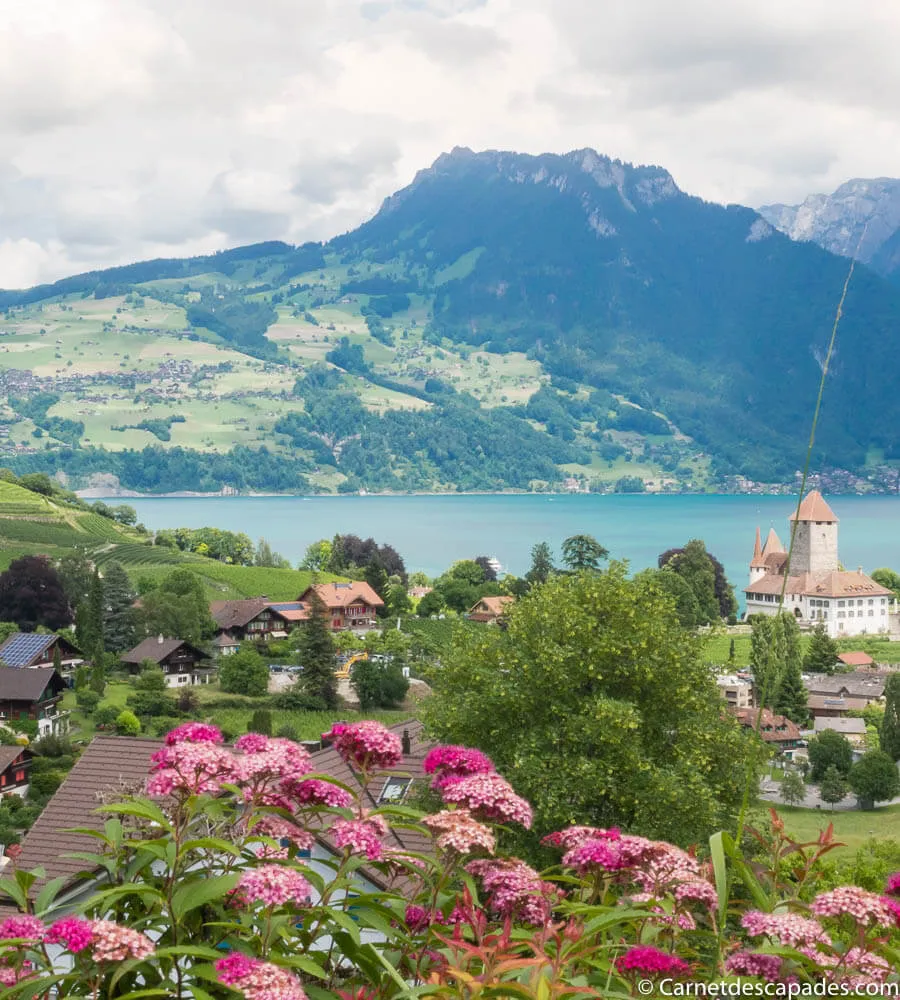 lac-thoune-spiez