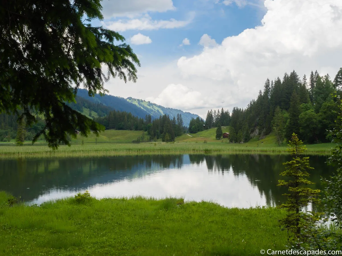 launensee