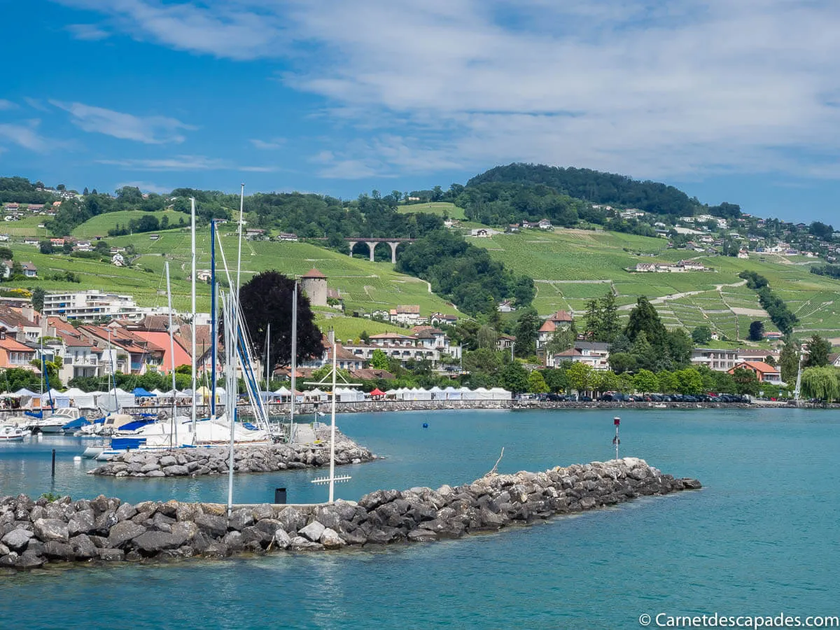 lavaux-terrasses-vignoble
