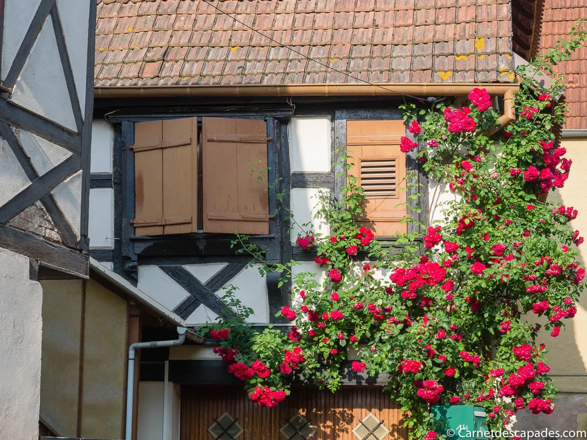 maison-colombages-alsace