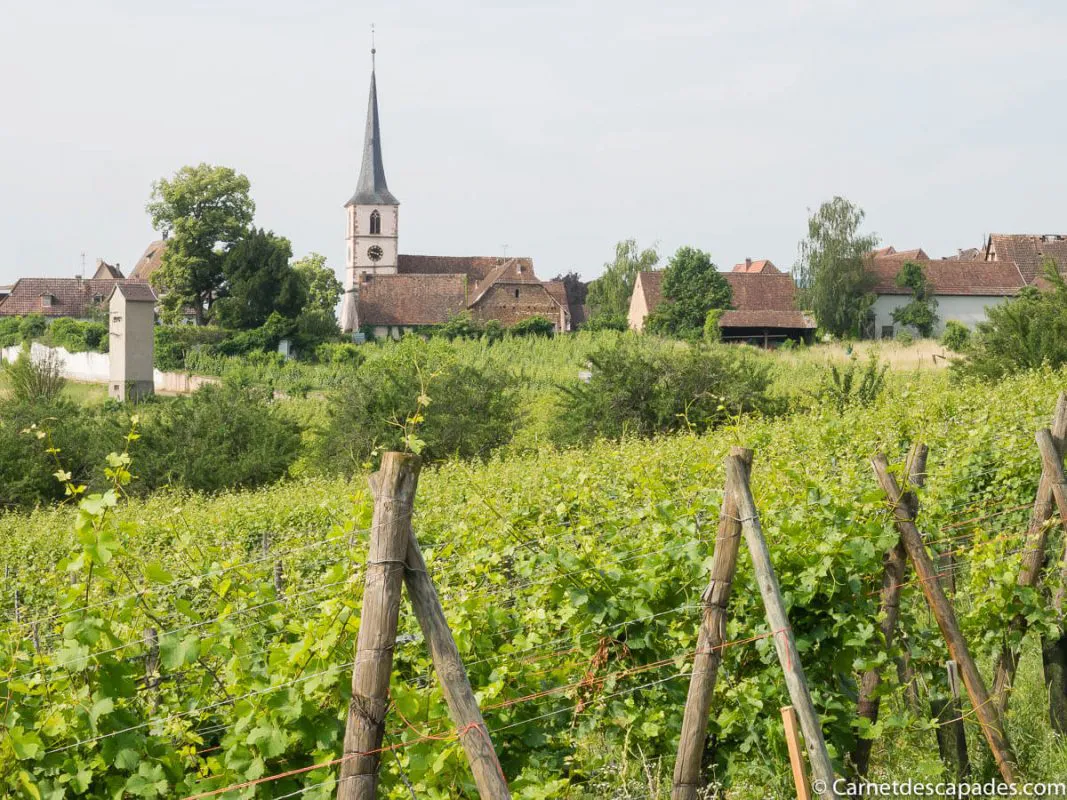 mittelbergheim