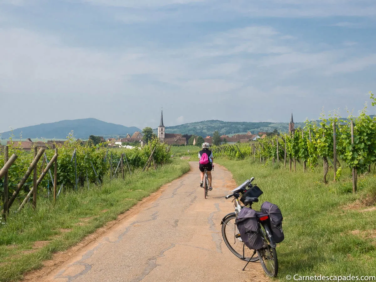 route-vin-alsace-velo