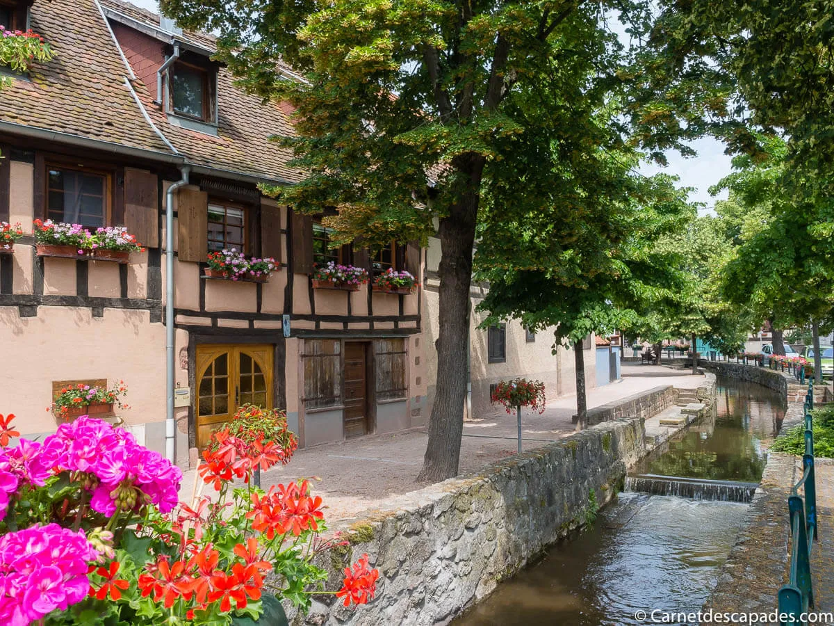 scherwiller-alsace