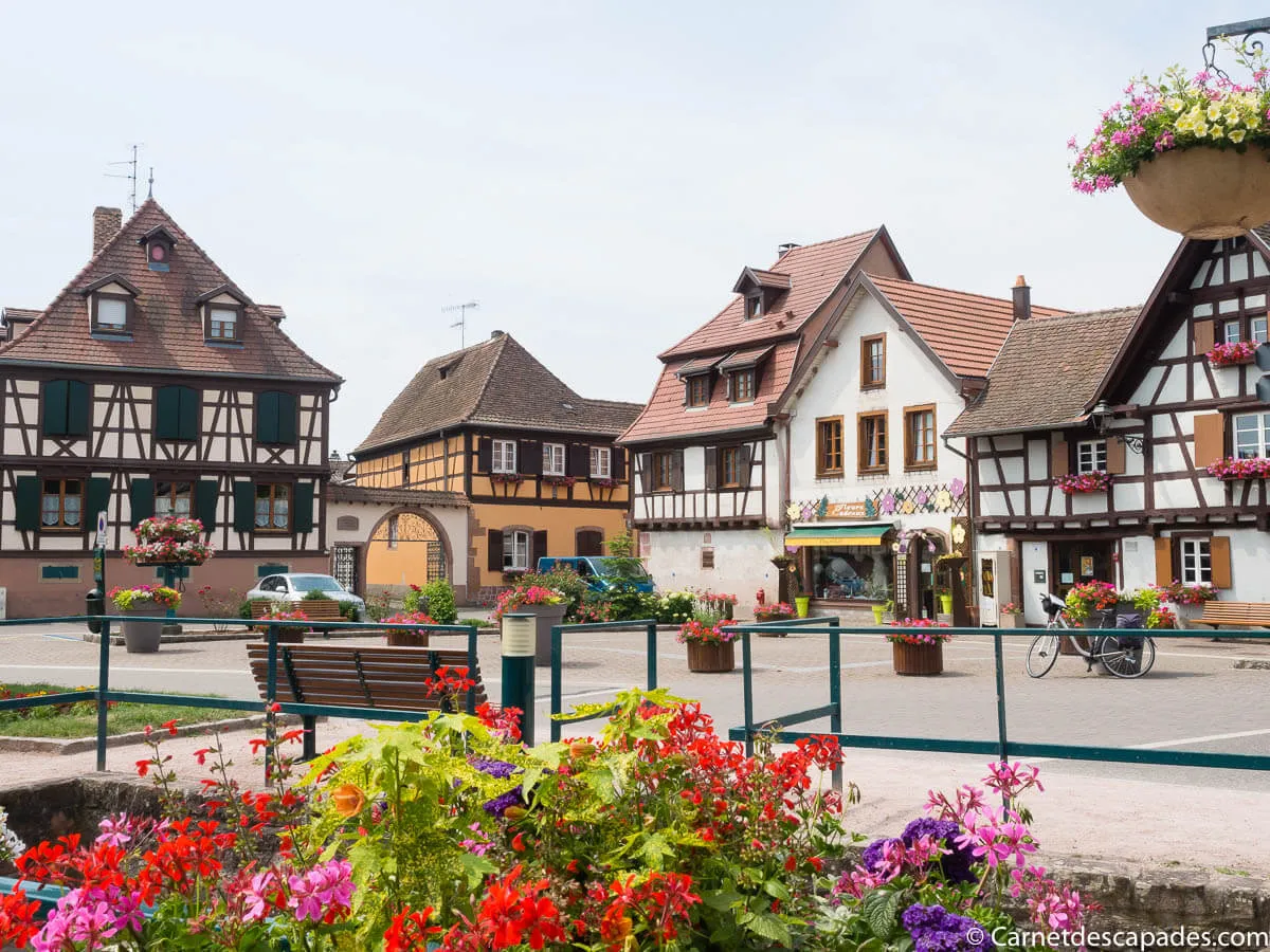 scherwiller-route-vins-alsace