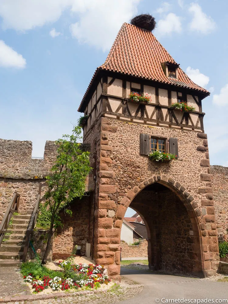 tour-sorcieres-chatenois