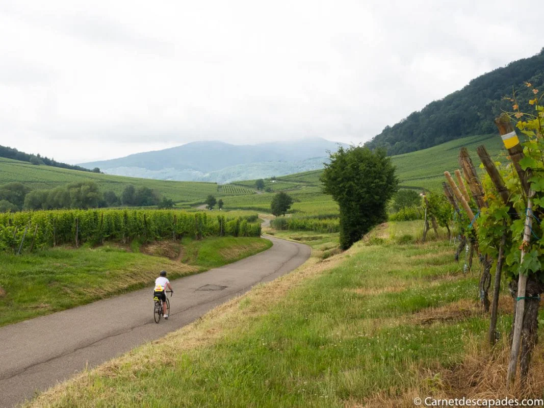 velo-alsace