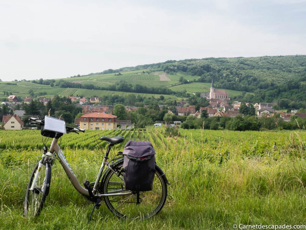 velo-route-vins-alsace