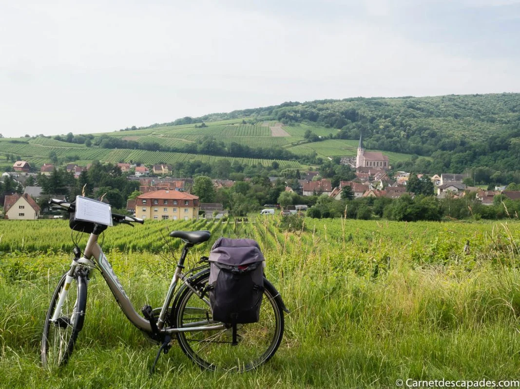 velo-route-vins-alsace