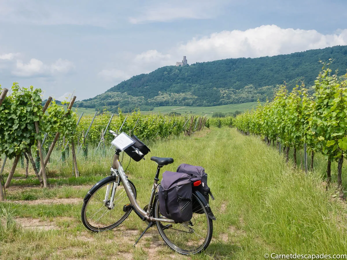 velo-vue-chateau-ortenbourg