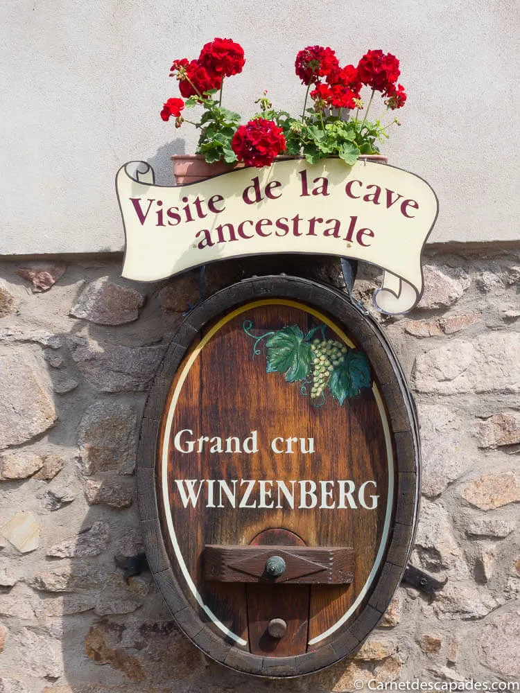 vigneron-route-vins