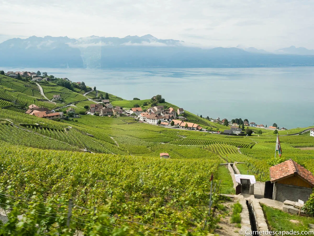 vignoble-terrasses-lavaux-unesco
