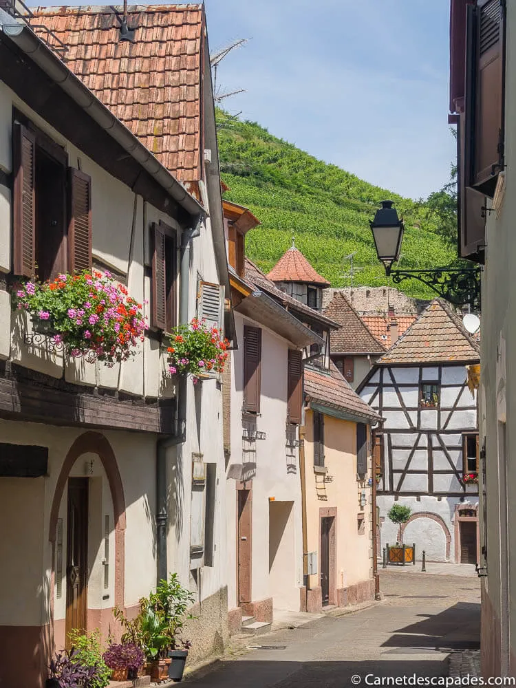 village-ribeauville-alsace