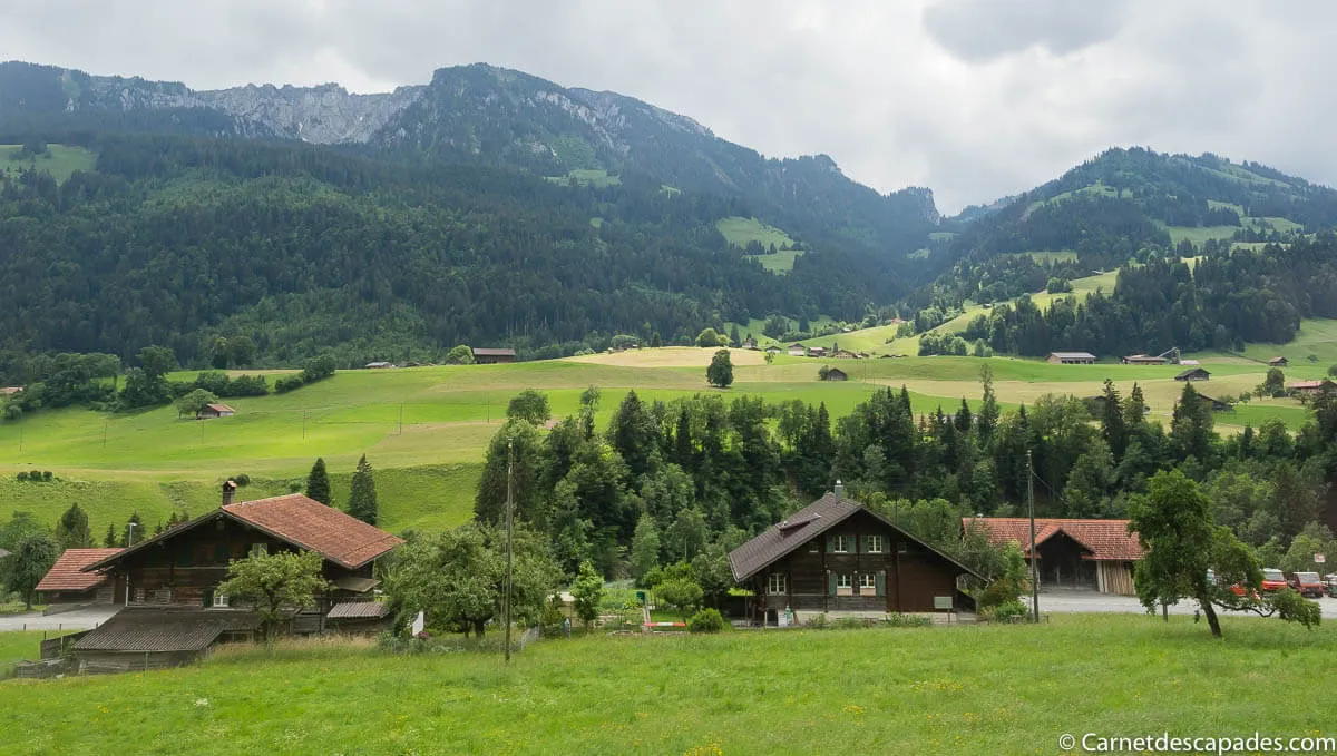 vue-montagnes-train-suisse