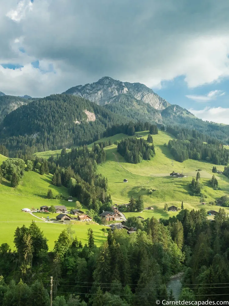 vue-train-mob-panoramic