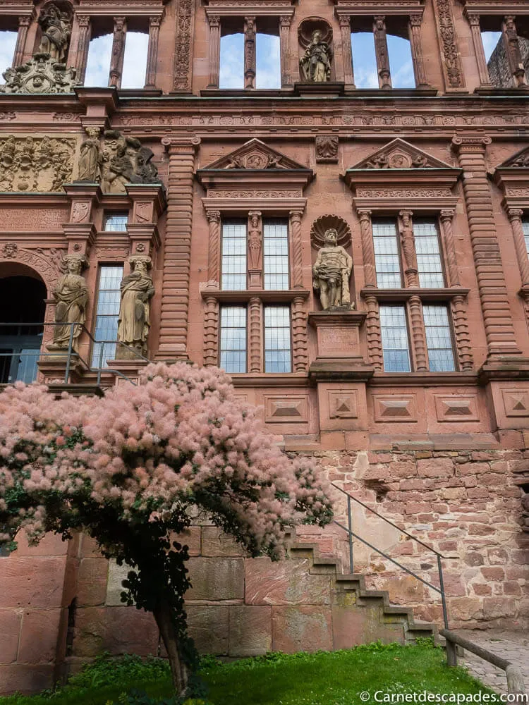 chateau-heidelberg