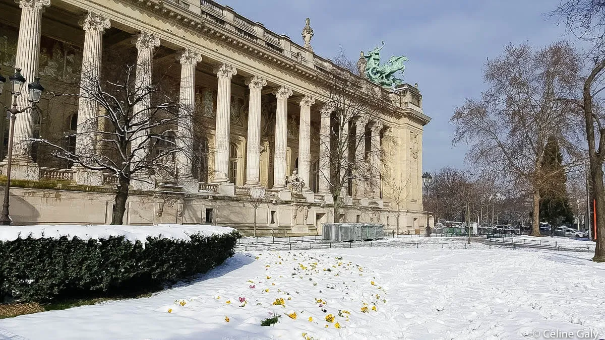 paris grand palais
