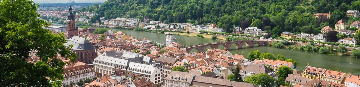 vue-chateau-heidelberg