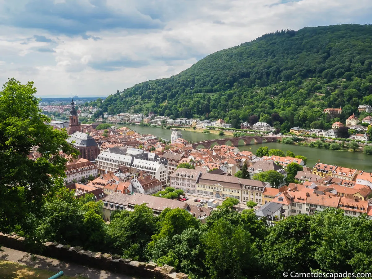 vue-chateau-heidelberg