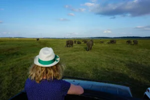 safari-elephants-sri-lanka