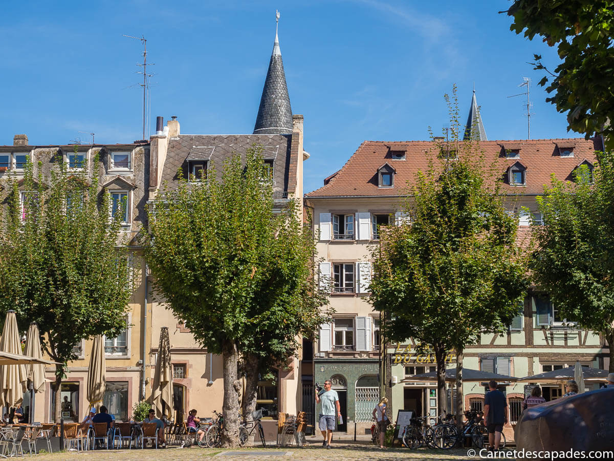 place-marche-gayot-strasbourg