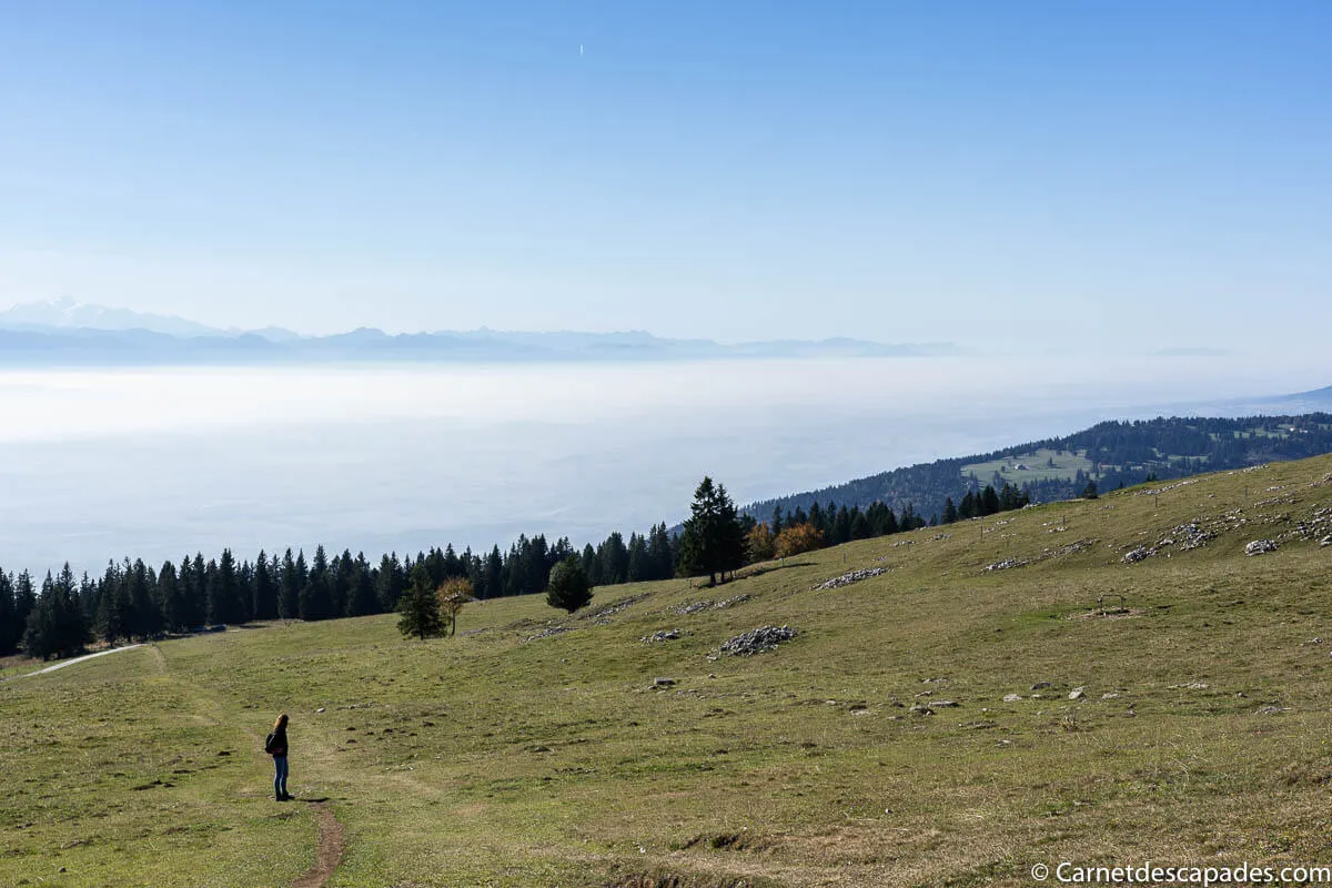 rando chasseron