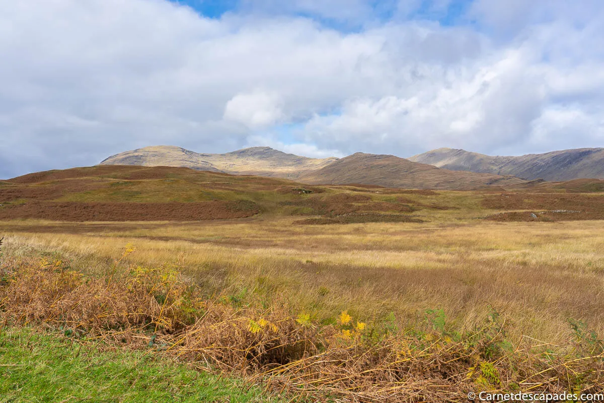 automne ile mull