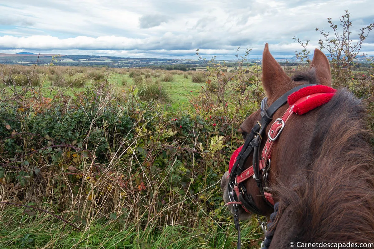 cheval loch lomond