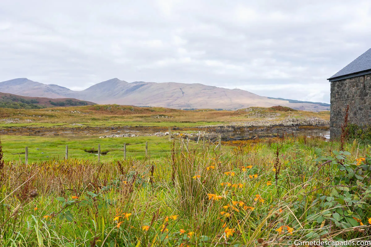 ile mull automne