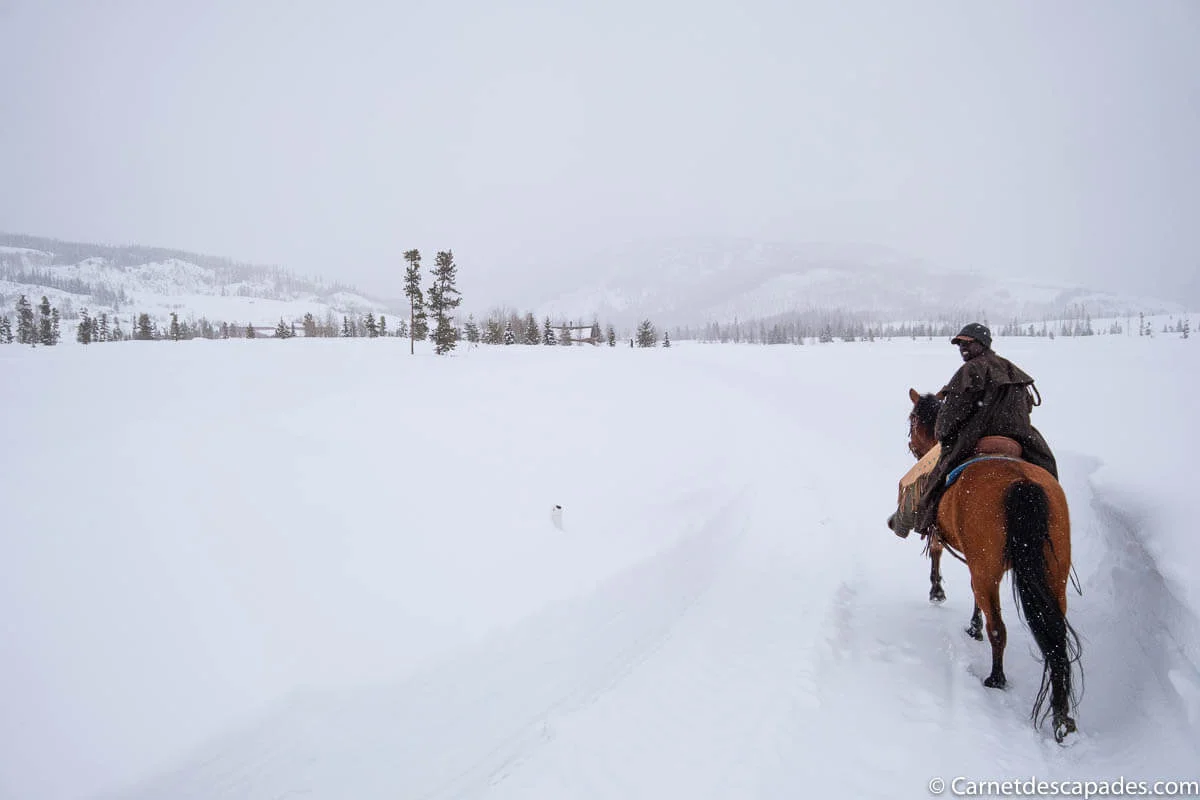balade cheval colorado hiver