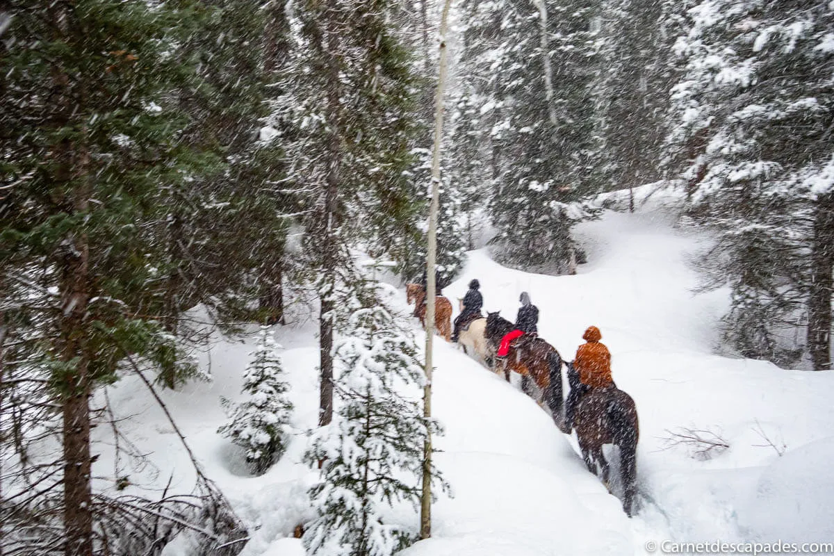 balade-cheval-neige-colorado
