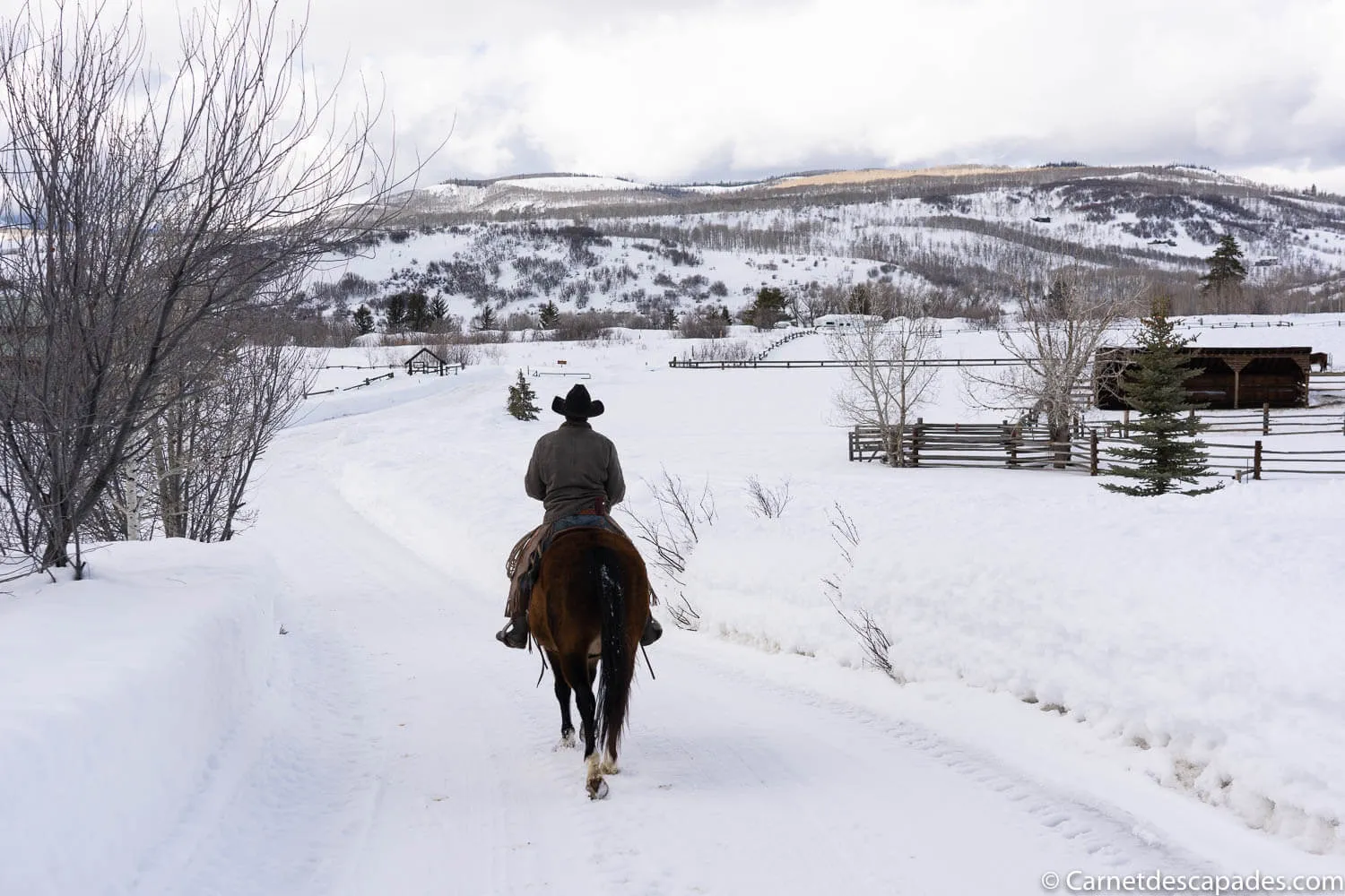 equitation-hiver-ranch-colorado