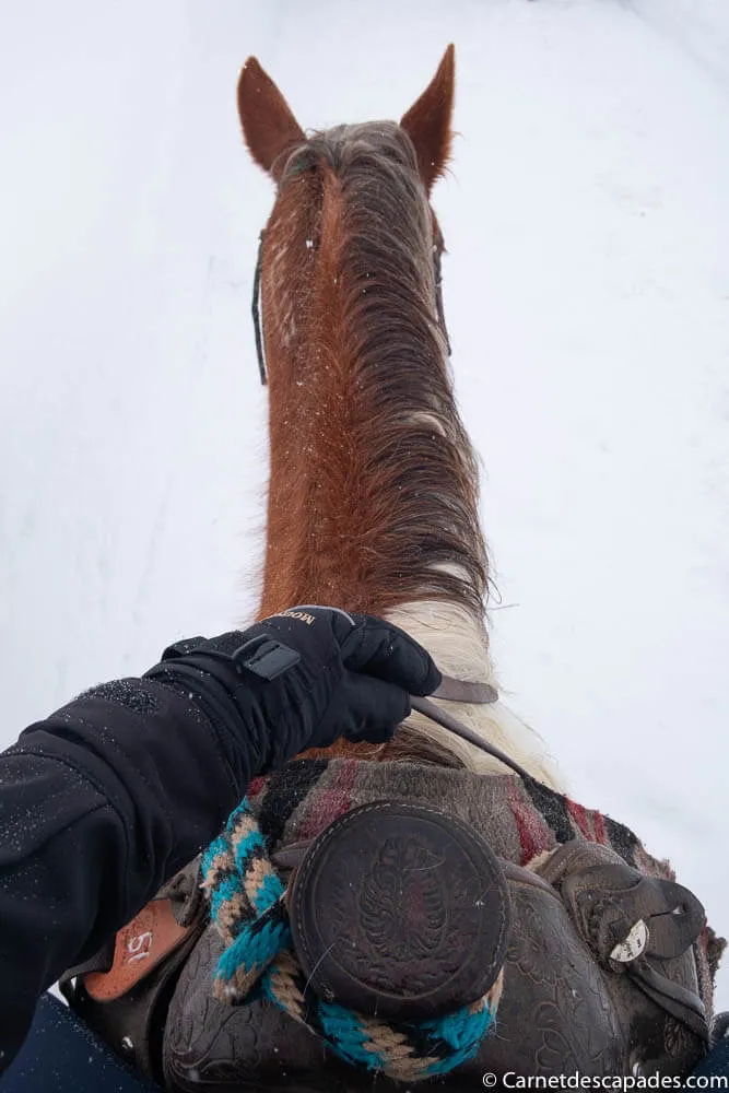 equitation-western-hiver