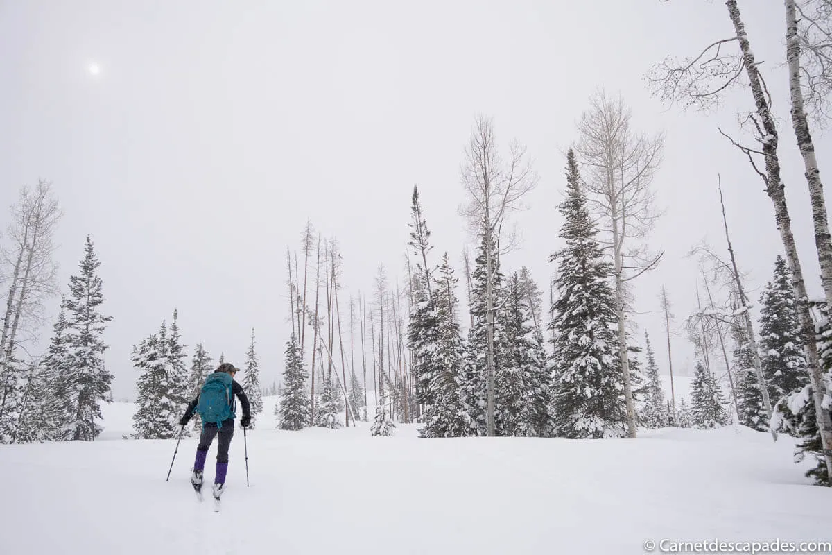 ski-randonnee-vista-verde-ranch