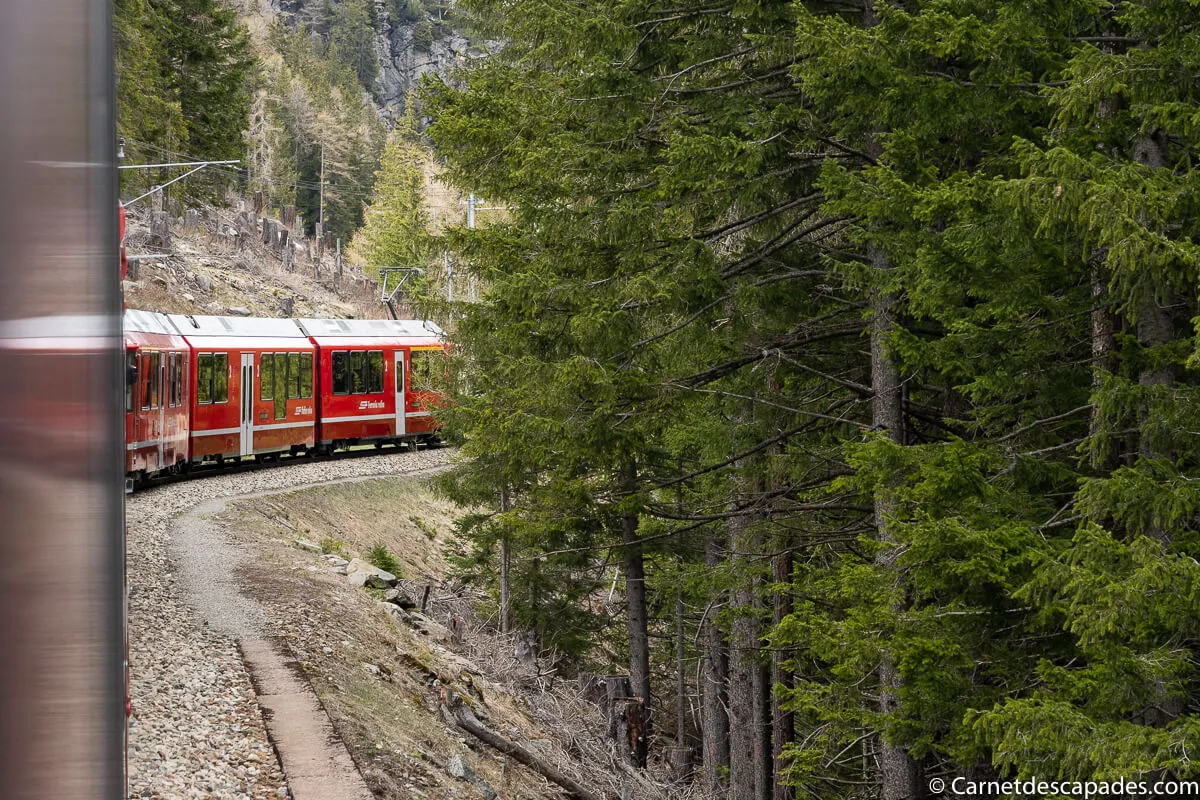 train bernina