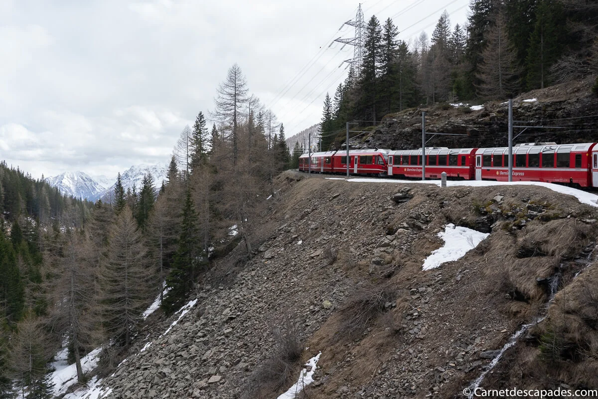 train panoramique bernina